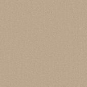 Clarendon Bare Carpet