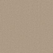 Clarendon Fawn Carpet