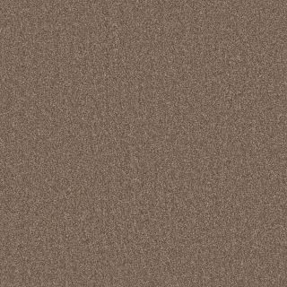 Clarendon Swatch Crumble