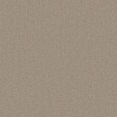 Clarendon Bisque Carpet