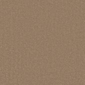 Clarendon French Carpet