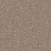 Clarendon Digestive Carpet