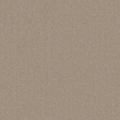 Cumberland Bisque Carpet