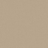 Aspen Champagne Carpet