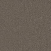 Aspen Vintage Carpet