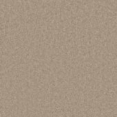 House Beautiful Romeo Taupe Carpet