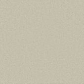 Salerno Cream Carpet