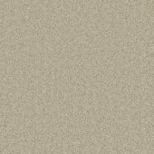 Salerno Ivory Carpet