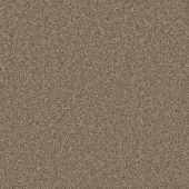 Salerno Birch Carpet