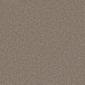 Carpetright Splendid Beige Carpet