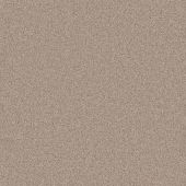 Carpetright Splendid Latte Carpet