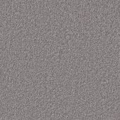 Carpetright Splendid Pewter Carpet