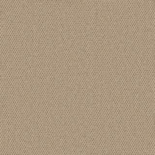 gazelle Cobble