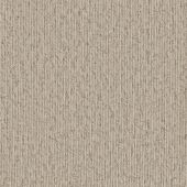 Lexus Coconut Linear Carpet