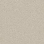 Expression Cream Carpet