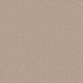 Expression Beige Carpet