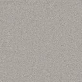 Expression Platinum Carpet