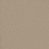 Expression Ivory Carpet