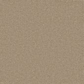 Michigan Parchment Carpet