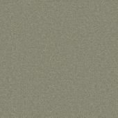 Michigan Turquoise Carpet