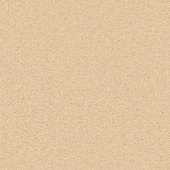 Michigan Cream Carpet