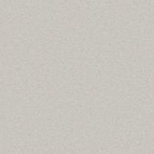 Michigan Silver Carpet