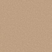 Michigan Beige Carpet