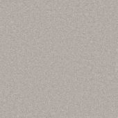 Michigan Platinum Carpet