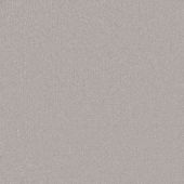 Detroit Silver Carpet