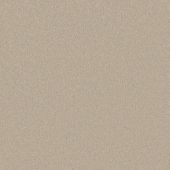 Detroit Cream Carpet