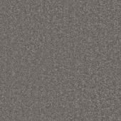 Spectrum Pewter Carpet