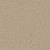 Spectrum Sand Carpet