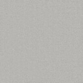 Cadillac Silver Carpet