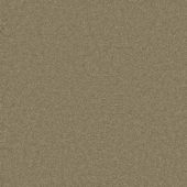 Waldorf Lichen Carpet