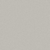 Waldorf Silver Carpet