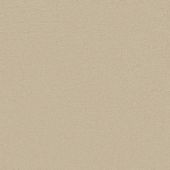 Waldorf Ivory Carpet