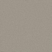 Waldorf Platinum Carpet