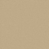 Langham Champagne Carpet