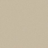 Langham Ivory Carpet