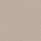 Elan Parchment Level Carpet