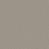 Astoria Platinum Carpet