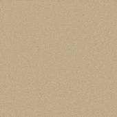 Astoria Champagne Carpet