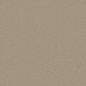 Astoria Beige Carpet