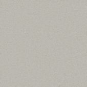 Astoria Silver Carpet