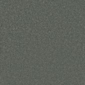 Carpetright Seagram Forest Carpet