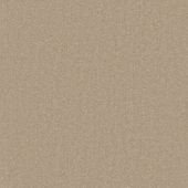 Carpetright Seagram Beige Carpet