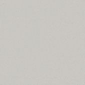 Carpetright Seagram Polar Carpet