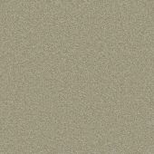 Carpetright Criterion Lichen Carpet