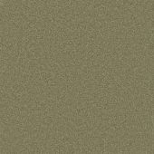 Carpetright Criterion Fern Carpet