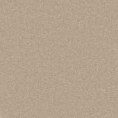 Carpetright Criterion Beige Carpet